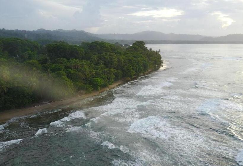 Общежитие Oasis