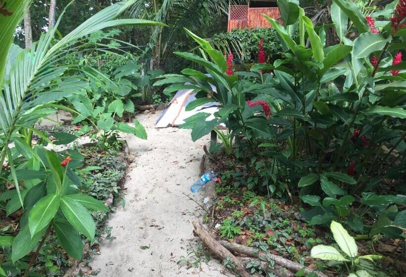 Общежитие Oasis