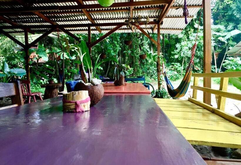 Общежитие Oasis