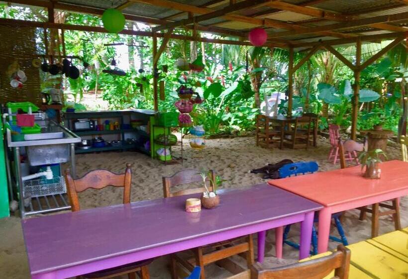 Общежитие Oasis