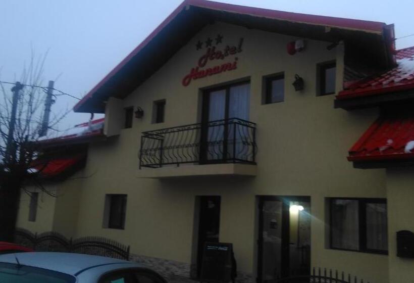 הוסטל Pensiunea Hanami