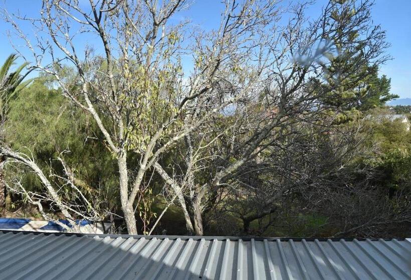 Almond Cottage Bed & Breakfast