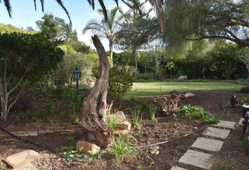 Almond Cottage Bed & Breakfast