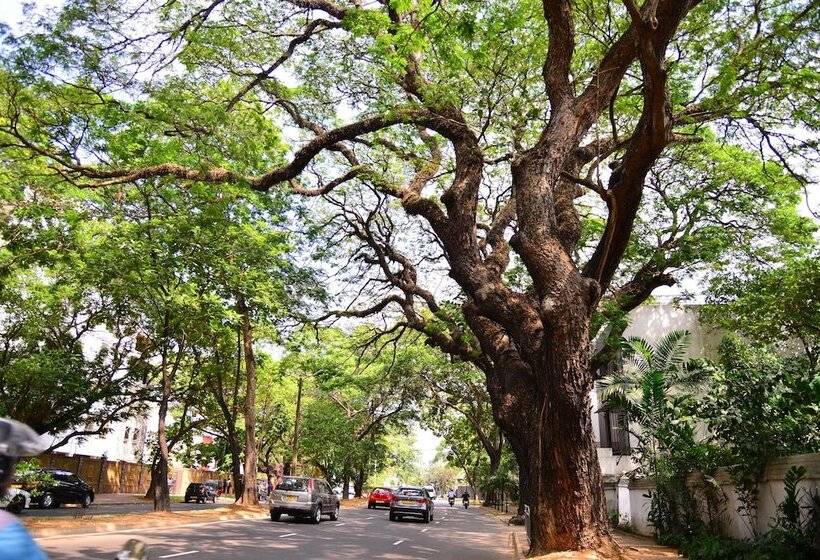 민박 Colombo Villa At Cambridge Place