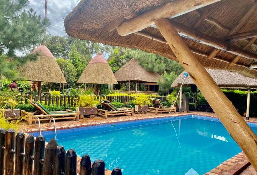 تختخواب و صبحانه Elite Backpackers Services