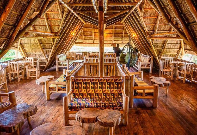 تختخواب و صبحانه Elite Backpackers Services