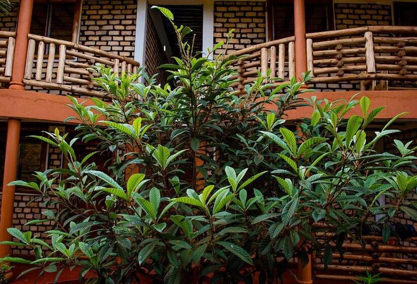 تختخواب و صبحانه Elite Backpackers Services