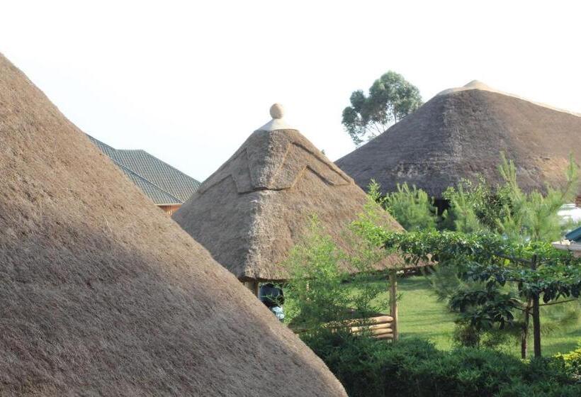 تختخواب و صبحانه Elite Backpackers Services