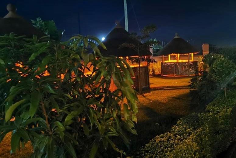 تختخواب و صبحانه Elite Backpackers Services