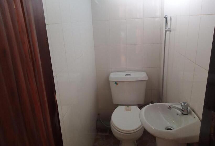 تختخواب و صبحانه Elite Backpackers Services