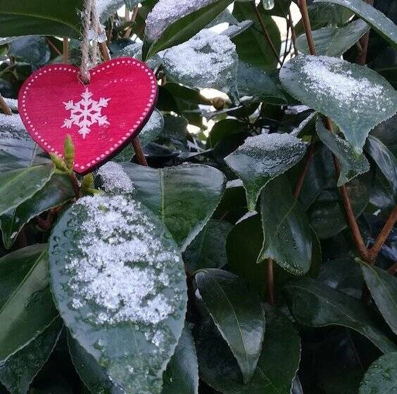 住宿加早餐 Gruppo Luxe Domus Vigevano