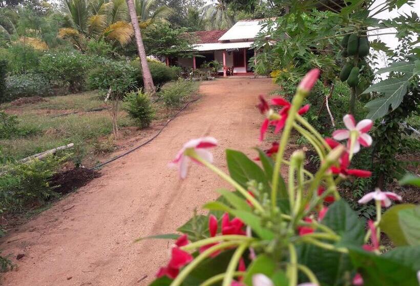 민박 Sigiriya Pikaso Homestay