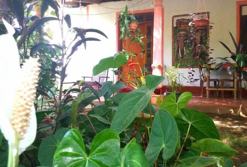 Bed and Breakfast Sigiriya Pikaso Homestay