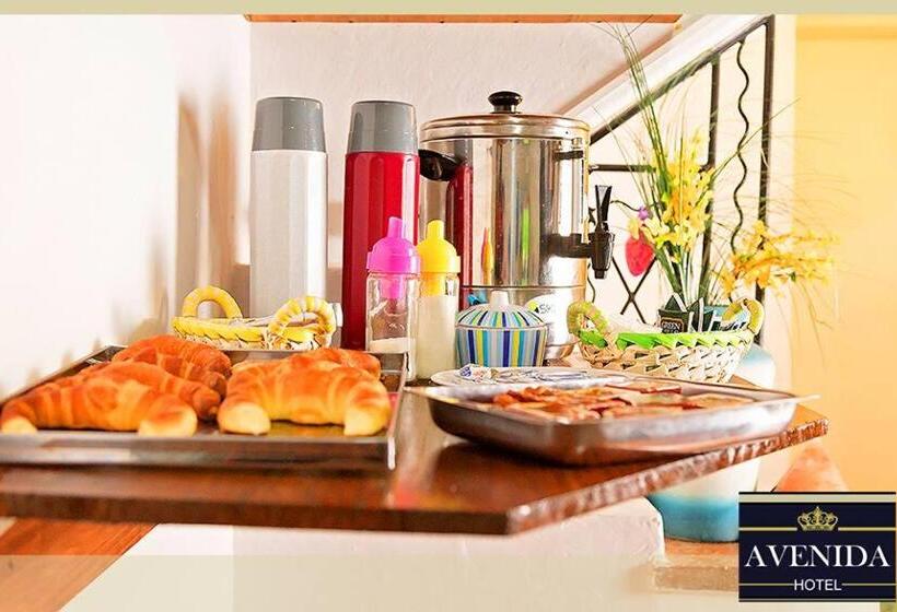 Отель Avenida