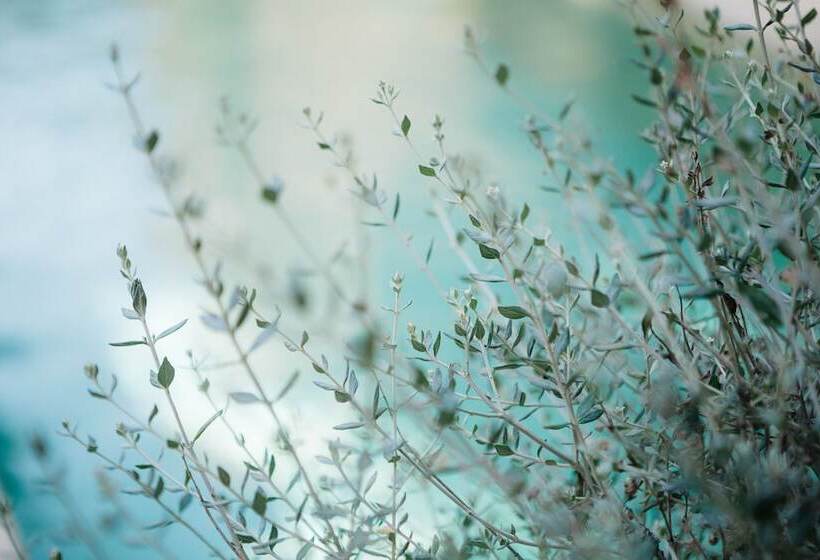 فندق Casa Peya   Adults Only