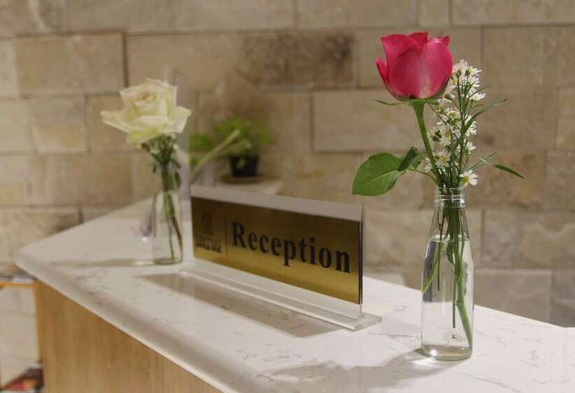 Отель Central Boutique