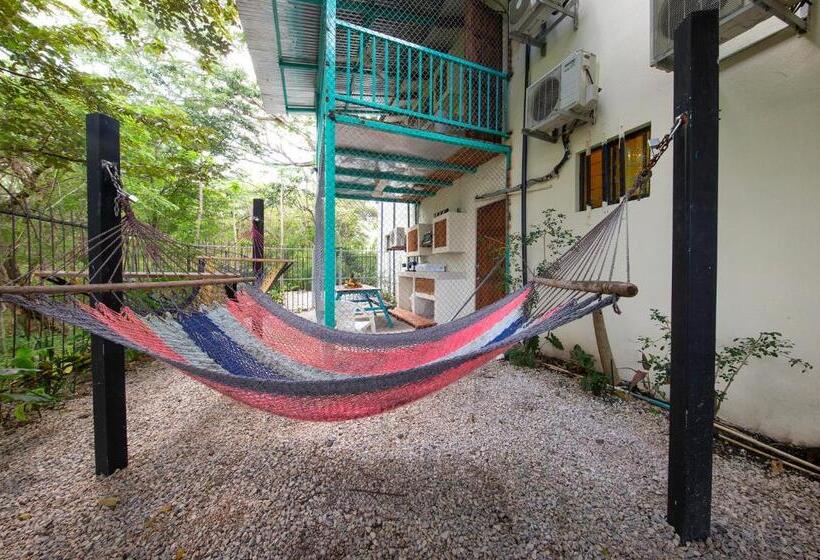 호텔 Diversion Tropical