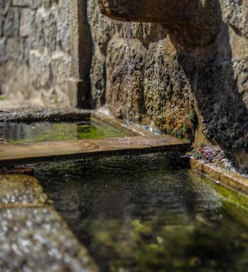 فندق Macchie E Fiori