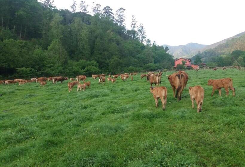 호텔 Rural Casa Cueto