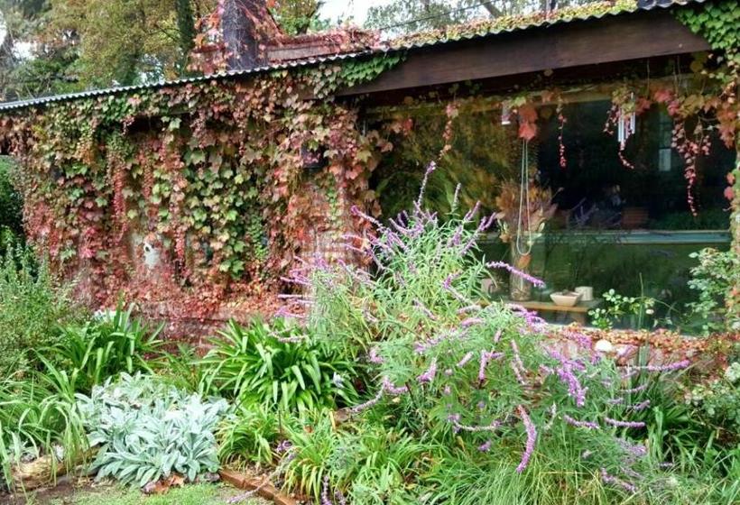 La Ignacia Bed And Breakfast