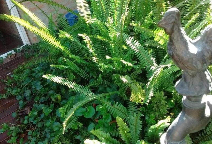 La Ignacia Bed And Breakfast