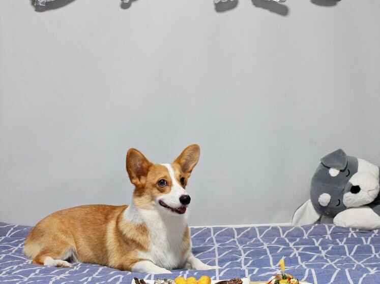 مُتل 9st Traveltel