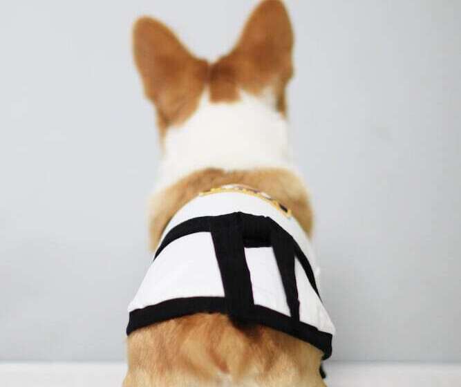 مُتل 9st Traveltel