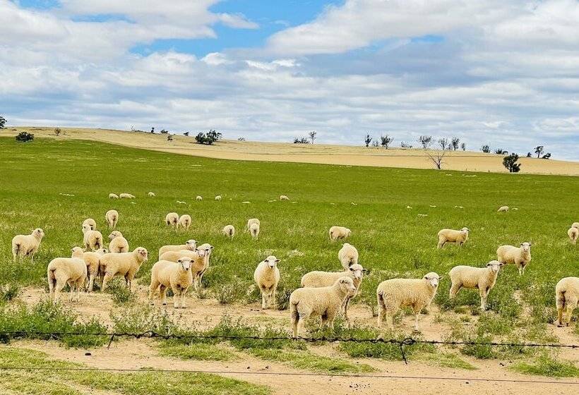 מוטל Junee Motor Inn