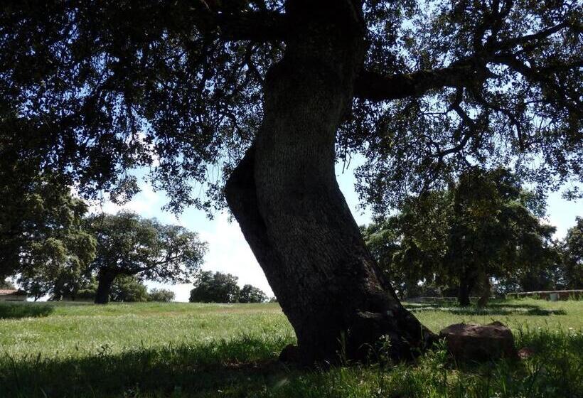 Общежитие Hostal Los Encinares