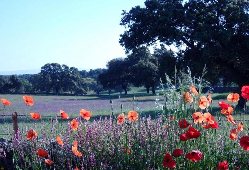 Общежитие Hostal Los Encinares