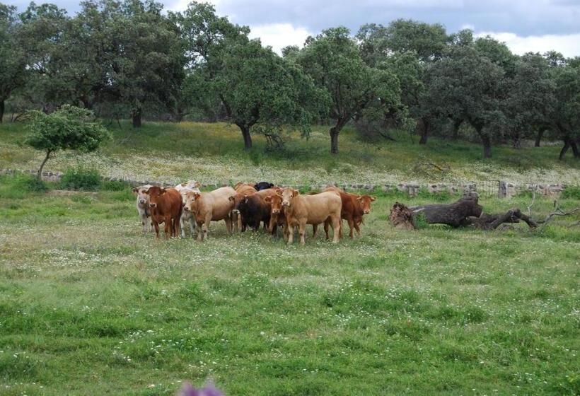 Общежитие Hostal Los Encinares