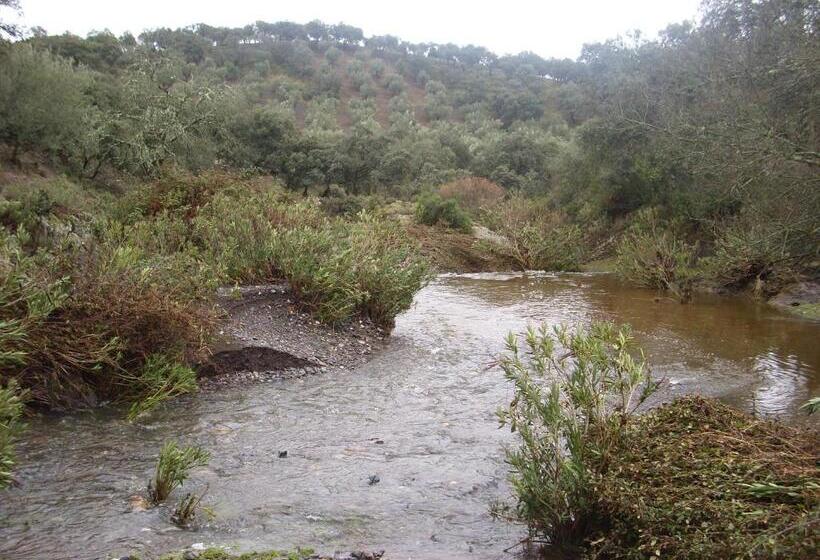 Общежитие Hostal Los Encinares