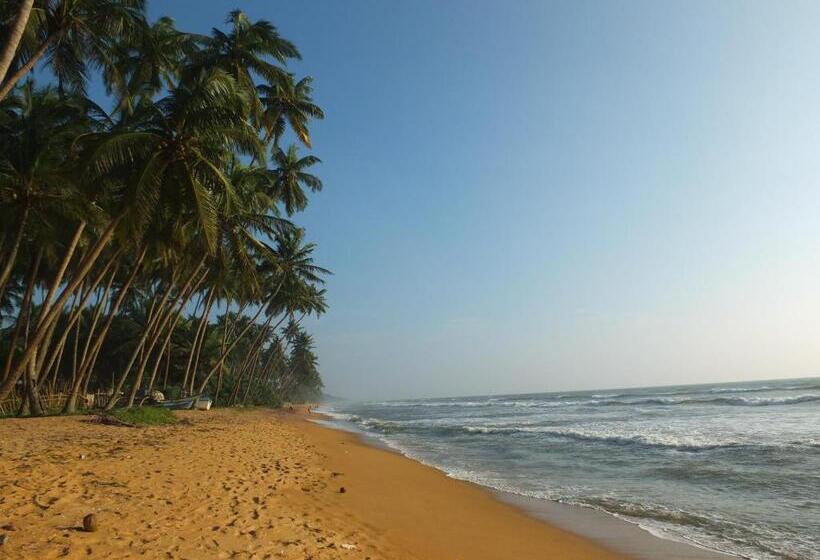 민박 Emildale Villa