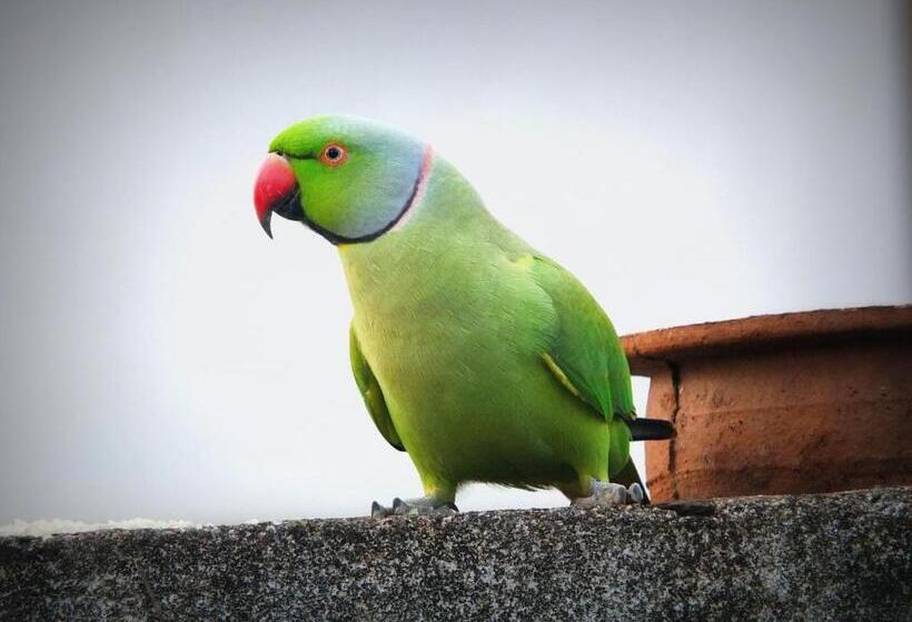 민박 Emildale Villa