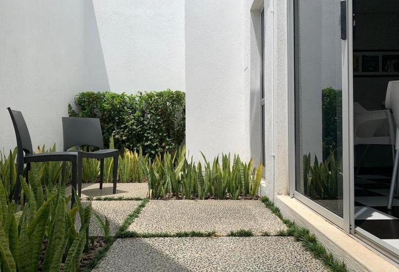 Bed and Breakfast Hp Twelve Accommodation