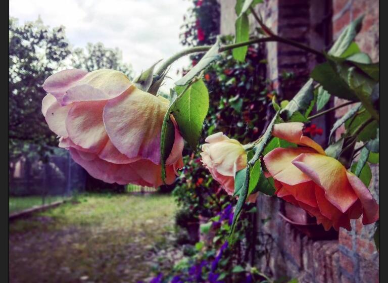 민박 Le Dimore De Il Borgo Del Balsamico