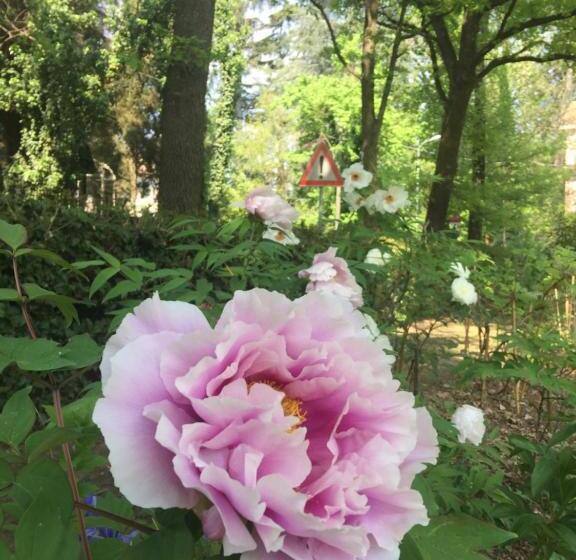 민박 Le Dimore De Il Borgo Del Balsamico