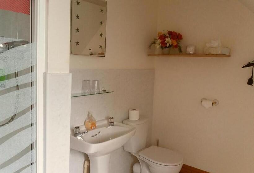 住宿加早餐  Osnok