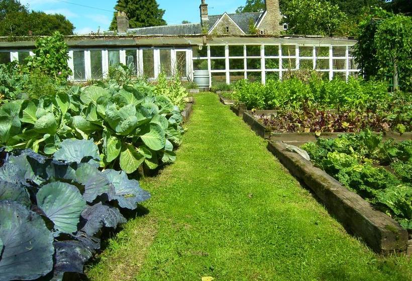 ベッドアンドブレックファースト Partyseal