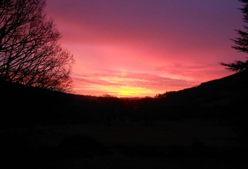 ベッドアンドブレックファースト Partyseal