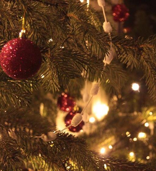 Bed and Breakfast The Boe Rigg