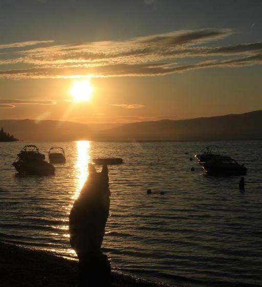 Davis Cove Resort