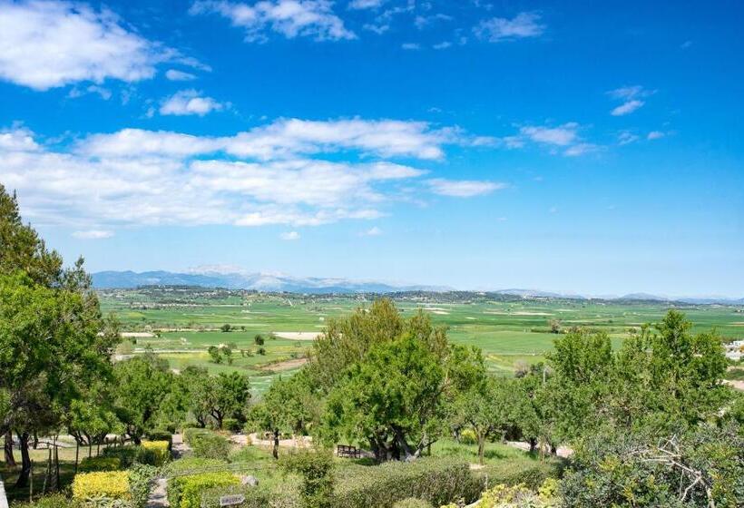 Отель Casa Font I Roig