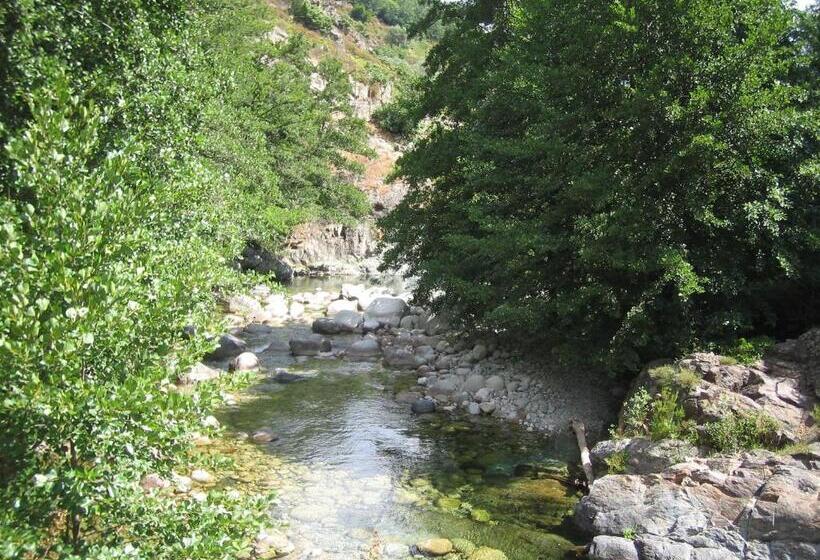 酒店 Hôtel De La Restonica