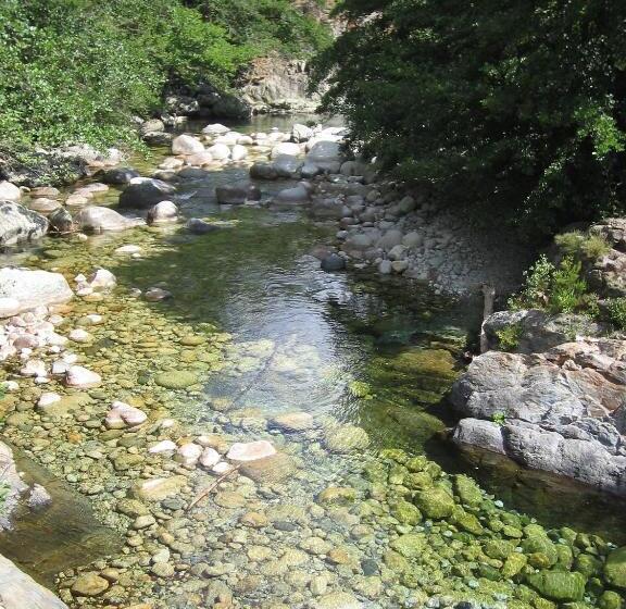 酒店 Hôtel De La Restonica