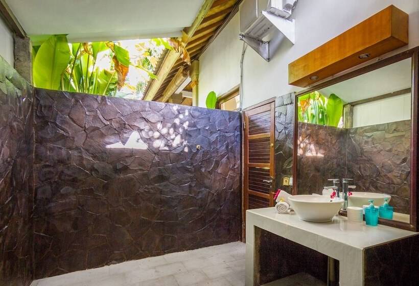 בית מלון כפרי Oasis