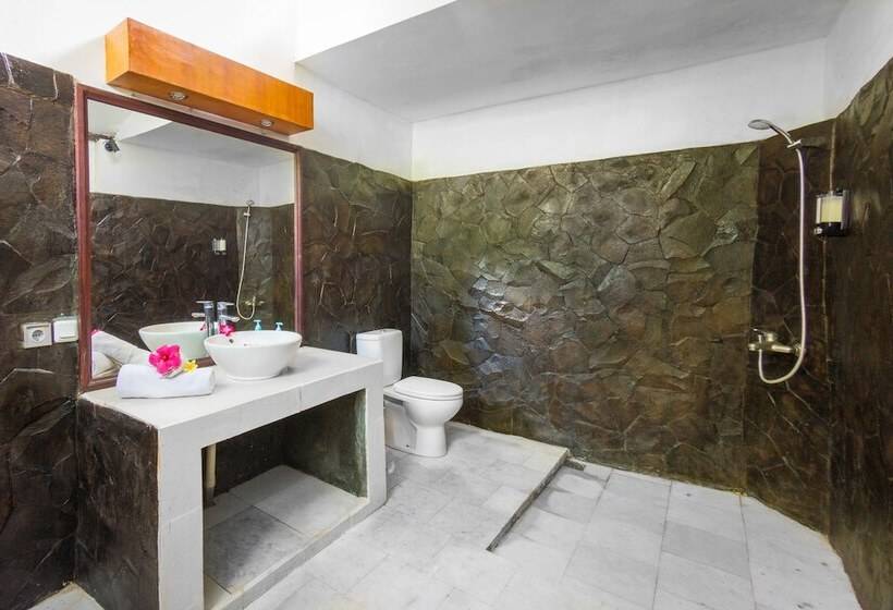 בית מלון כפרי Oasis