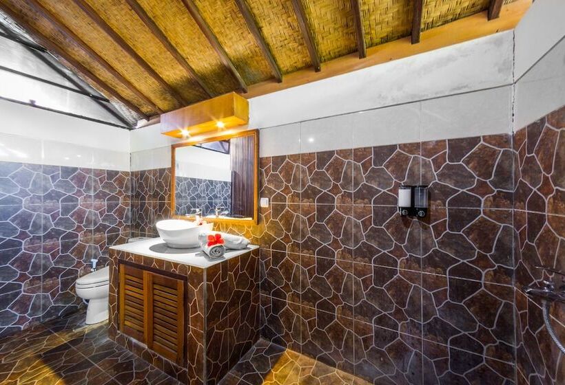 בית מלון כפרי Oasis