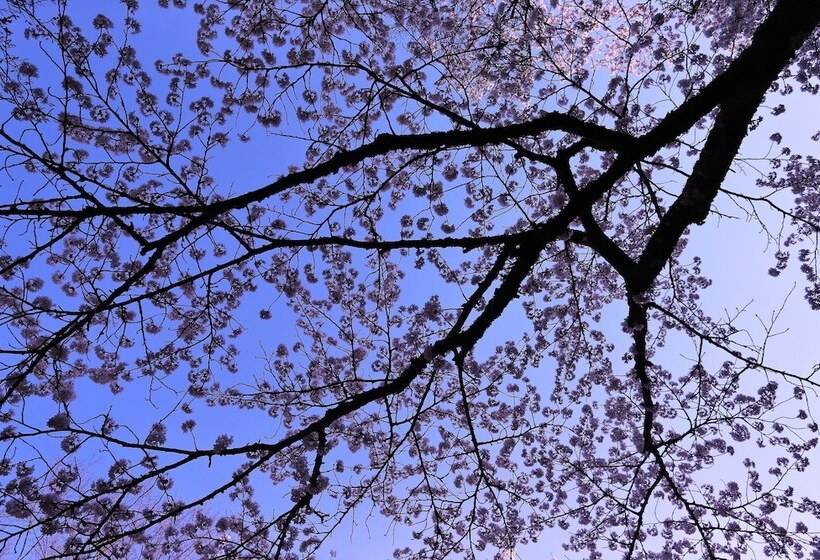 בית מלון כפרי Okutsu Onsen Komeya Club