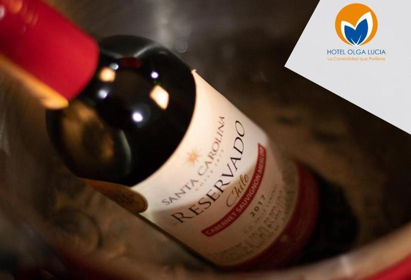 Отель Olga Lucia